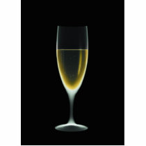 X-RAY CELEBRATION CHAMPAGNE Original + Negative