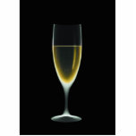 X-RAY CELEBRATION CHAMPAGNE Original + Negative photo sculptures