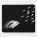 X-RAY FISH CHASE BLACK & WHITE MOUSEPADS