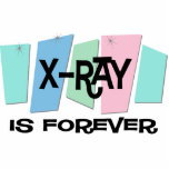 X-Ray Is Forever photo sculptures