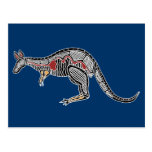 X-Ray Kangaroo Postcard