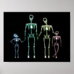 X-Ray My Family Print