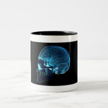 X-ray of the brain inside a skull mugs