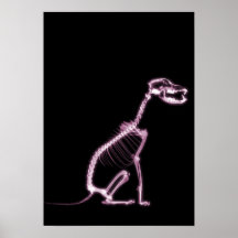 X-RAY PUPPY DOG SKELETON SITTING - PINK POSTER