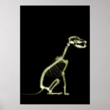 X-RAY PUPPY DOG SKELETON SITTING - YELLOW PRINT
