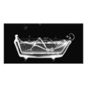 X-Ray Skeleton B&W Bath Time photo cards
