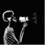 X-RAY SKELETON ON MEGAPHONE - B&W photo sculptures