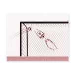 X-RAY SKELETON SOCCER GOALIE WHT RED POST CARDS