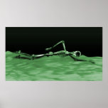 X-Ray Skeleton Swimming in Lake Neg Green posters