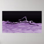 X-Ray Skeleton Swimming in Lake Neg Purple posters