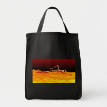 X-Ray Skeleton Swimming in Lake of Fire Bags