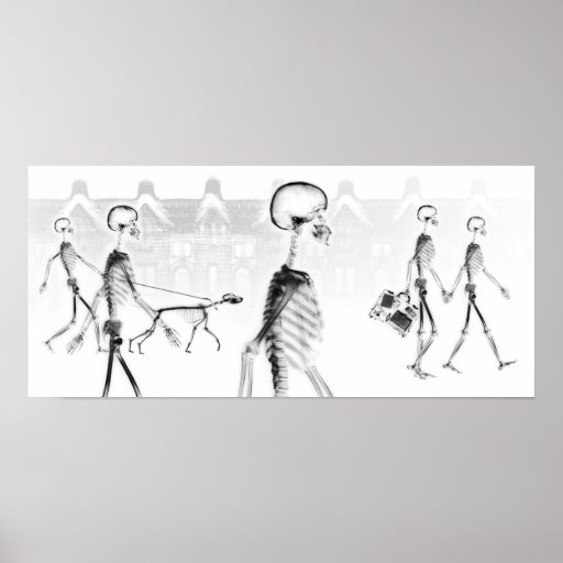 X-Ray Skeletons Afternoon Stroll Black & White Posters