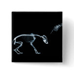 X-Ray Skeletons Bad Dog Blue buttons