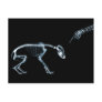 X-Ray Skeletons Bad Dog Blue