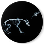 X-Ray Skeletons Blue Bad Dog buttons