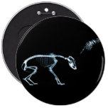 X-Ray Skeletons Blue Bad Dog Button