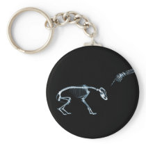 X-Ray Skeletons Blue Bad Dog