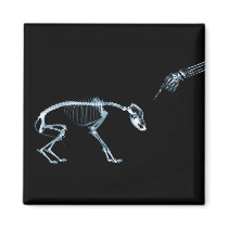 X-Ray Skeletons Blue Bad Dog