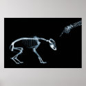 X-Ray Skeletons Blue Bad Dog posters