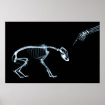 X-Ray Skeletons Blue Bad Dog