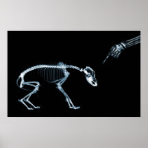 X-Ray Skeletons Blue Bad Dog Posters