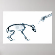 X-Ray Skeletons Blue Bad Dog Posters