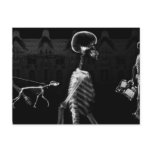 X-Ray Skeletons Midnight Stroll Black White