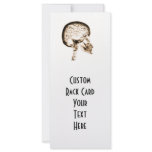 X-RAY SKULL BRAIN - ORANGE rack cards