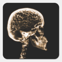 X-RAY SKULL BRAIN - ORANGE SQUARE STICKERS