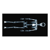 X-Ray Vision Blue Single Skeleton