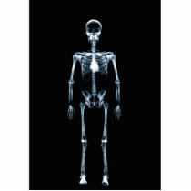 X-Ray Vision Blue Single Skeleton