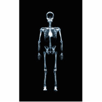 X-Ray Vision Blue Single Skeleton