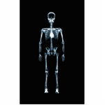 X-Ray Vision Blue Single Skeleton photo sculptures