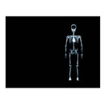 X-Ray Vision Blue Single Skeleton Post Card