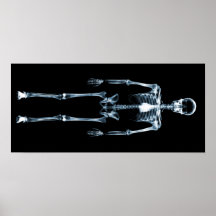 X-Ray Vision Blue Single Skeleton Print