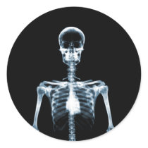 X-Ray Vision Blue Single Skeleton