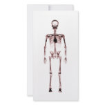 X-Ray Vision Single Skeleton White Red