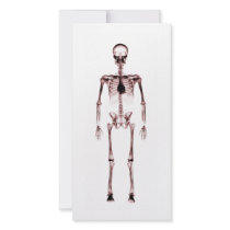 X-Ray Vision Single Skeleton White Red