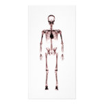 X-Ray Vision Single Skeleton White Red Photo Greeting Card