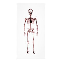 X-Ray Vision Single Skeleton White Red Photo Greeting Card