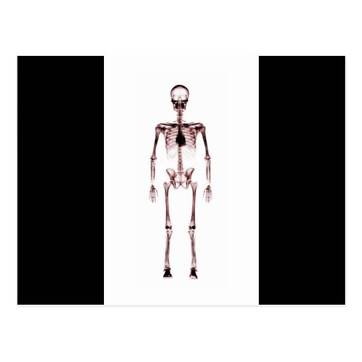 X-Ray Vision Single Skeleton White Red Postcard