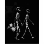X-RAY VISION SKELETON COUPLE TRAVELING B&W photo sculptures