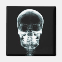X-RAY VISION SKELETON SKULL - ORIGINAL REFRIGERATOR MAGNETS
