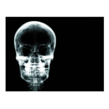 X-RAY VISION SKELETON SKULL - ORIGINAL POSTCARD