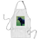 Xander 1 copy apron