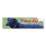 Xander 1 copy bumper stickers