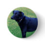 Xander 1 copy pinback button