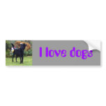 Xander 2 copy, I love dogs Bumper Stickers