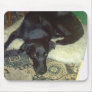 Xander 5 copy mouse mat