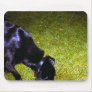 Xander at Night copy Mouse Pads